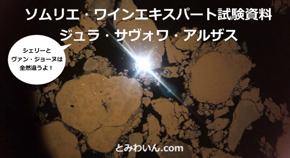 【2019年】ジュラ、サヴォワ、アルザス Jura, Savoie, Alsace