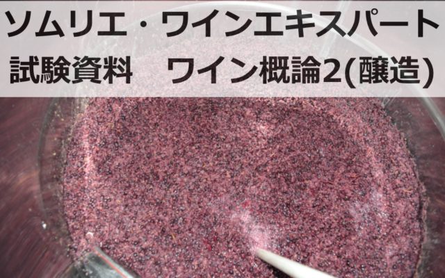 【2019年】ワイン概論3(ワインの醸造)