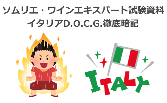 年 徹底暗記 イタリアd O C G ソムリエ ワインエキスパート試験