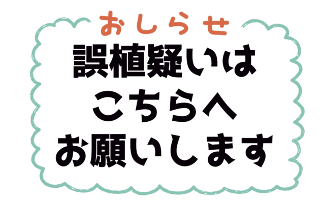【2021年】誤植疑いはこちらへお願いします|ソムリエ・ワインエキスパート試験